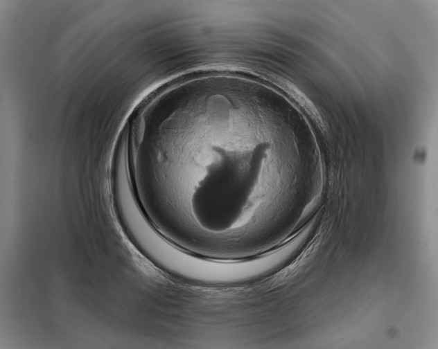 X0000098150988200804171608