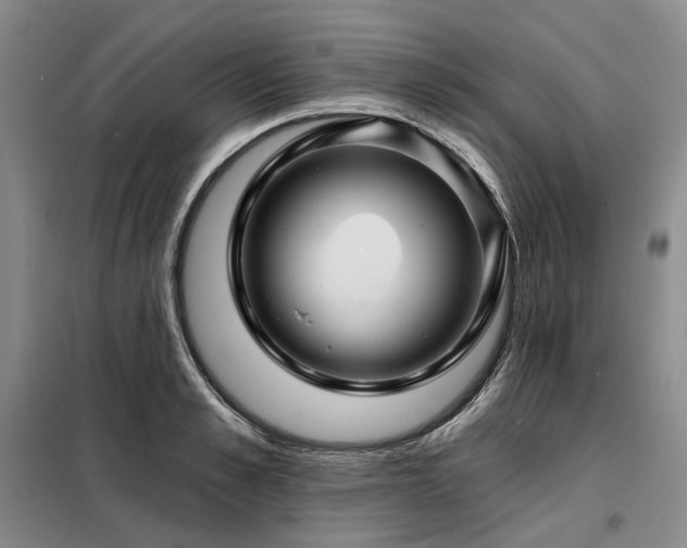 X0000098150989200804171608