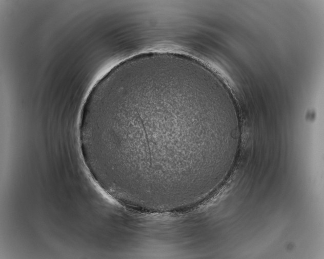 X0000098150990200804171608