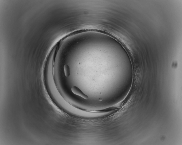 X0000098150991200804171608