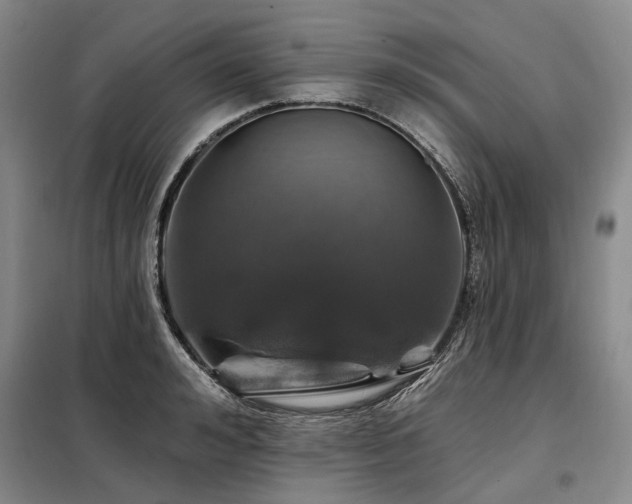 X0000098150992200804171608