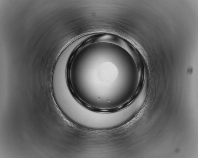 X0000098150993200804171608
