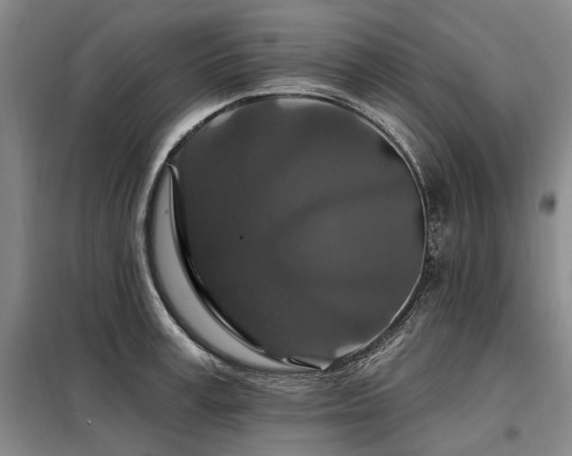 X0000098150995200804171608