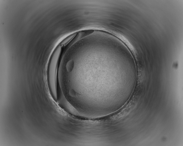 X0000098150996200804171608