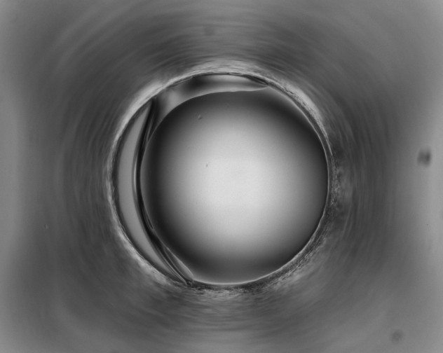 X0000098150997200804171608