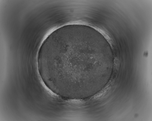 X0000098150998200804171608