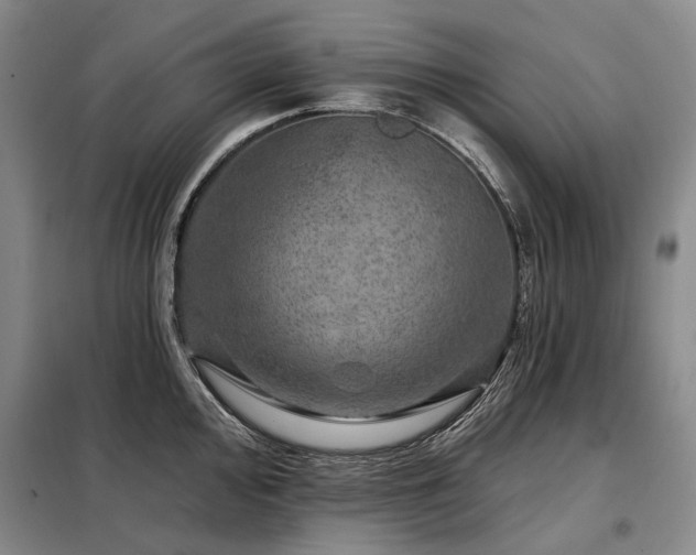 X0000098151000200804171608