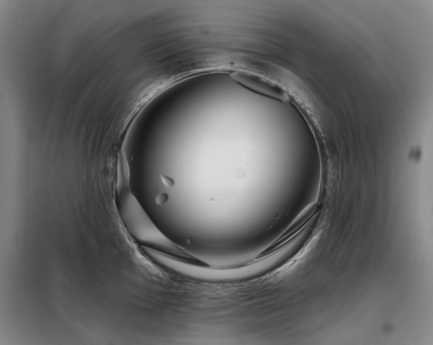 X0000098151001200804171608