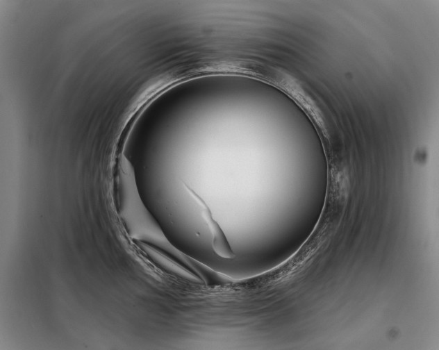 X0000098151002200804171608
