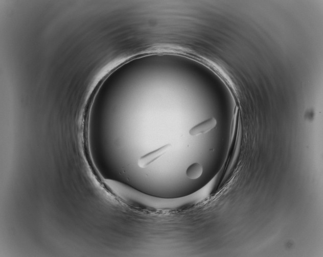 X0000098151003200804171608