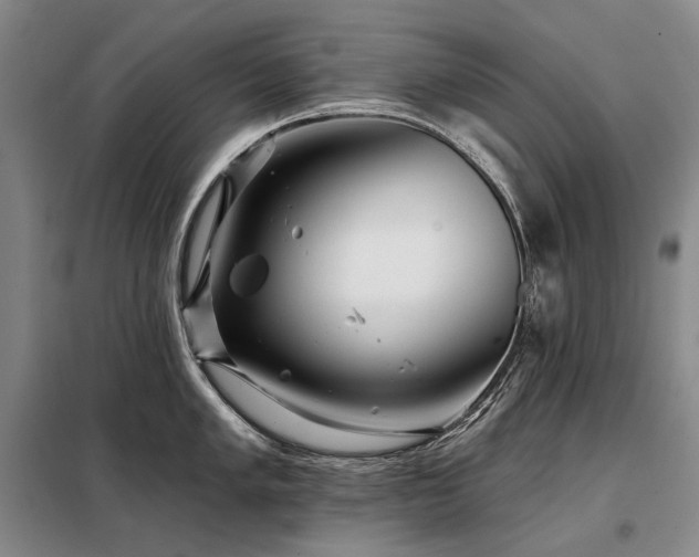X0000098151005200804171608