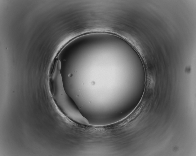 X0000098151006200804171608