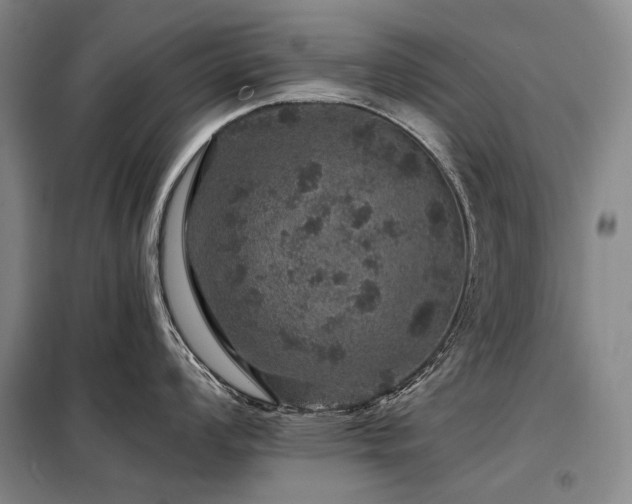 X0000098151008200804171608