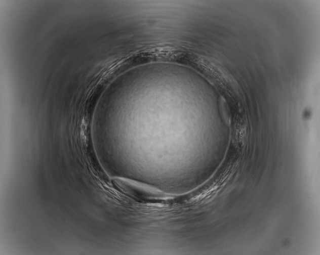 X0000098151010200804171607