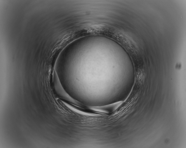 X0000098151012200804171607