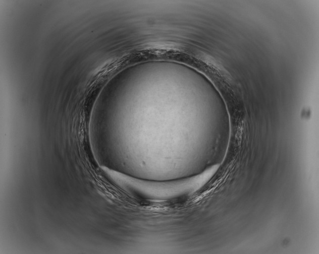 X0000098151014200804171607