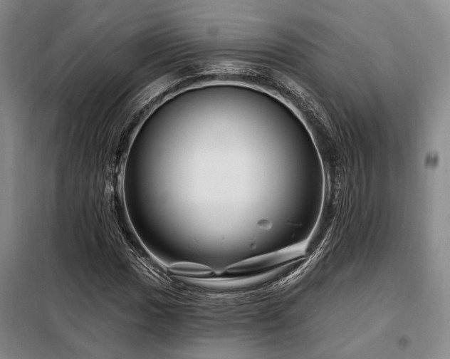 X0000098151017200804171607