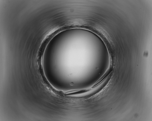 X0000098151018200804171607