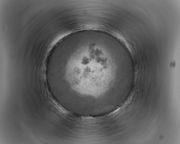 X0000098151019200804171607