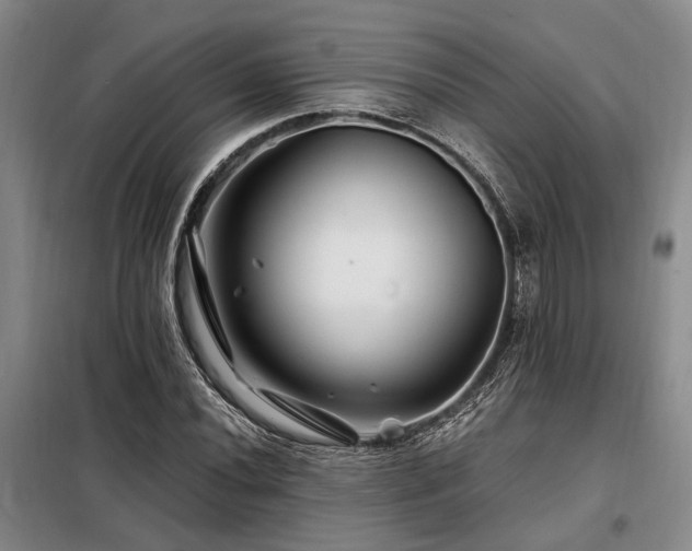 X0000098151020200804171607