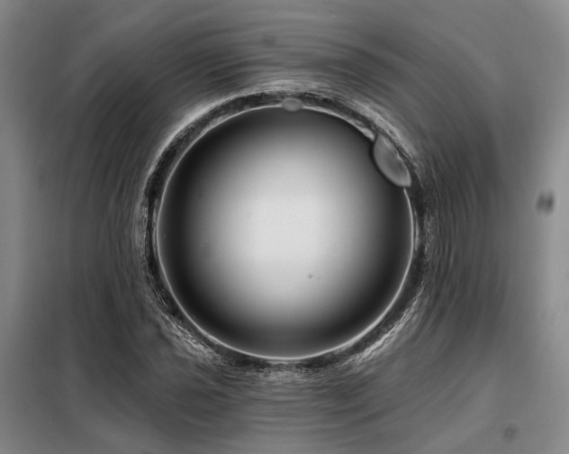 X0000098151021200804171607