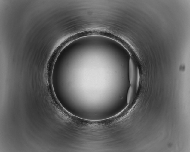 X0000098151022200804171607