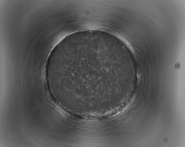 X0000098151023200804171607
