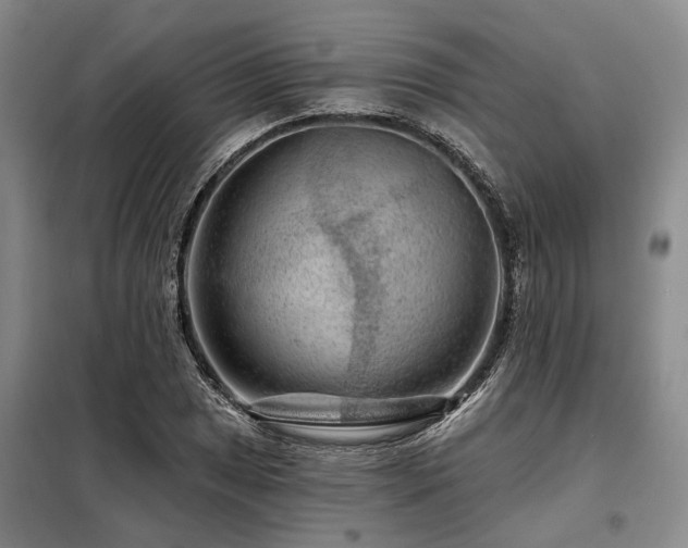 X0000098151025200804171607
