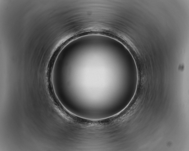 X0000098151026200804171607