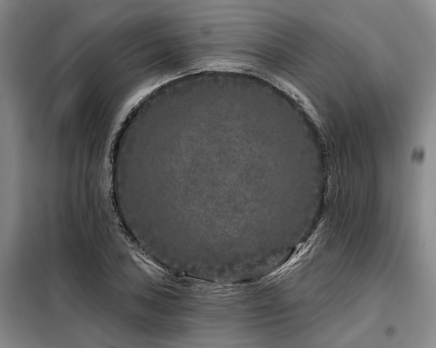 X0000098151027200804171608