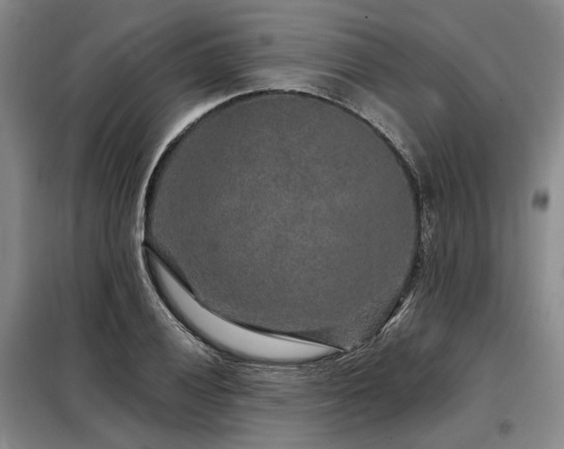 X0000098151028200804171608