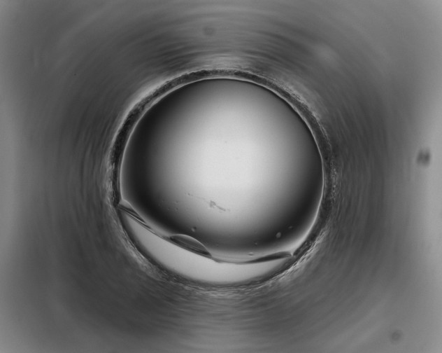 X0000098151029200804171608