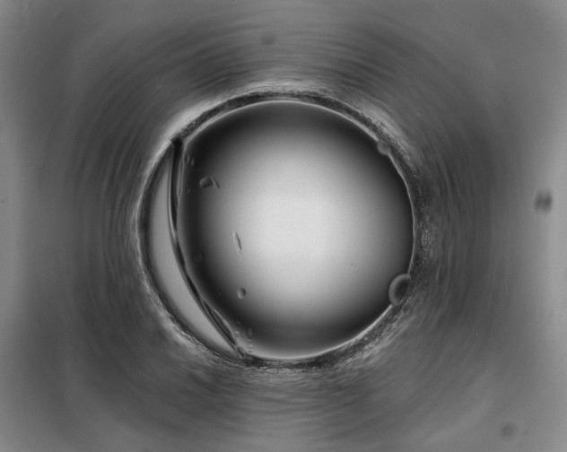 X0000098151030200804171608