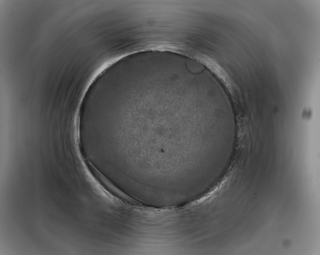 X0000098151032200804171608