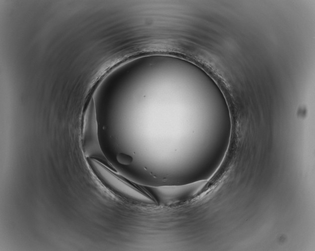 X0000098151033200804171608
