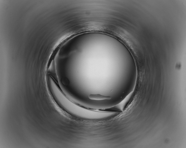 X0000098151034200804171608
