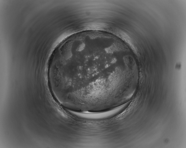 X0000098151035200804171608
