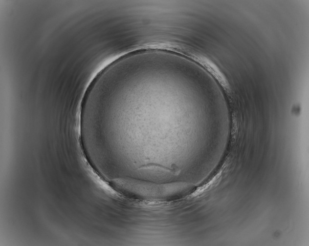 X0000098151036200804171608