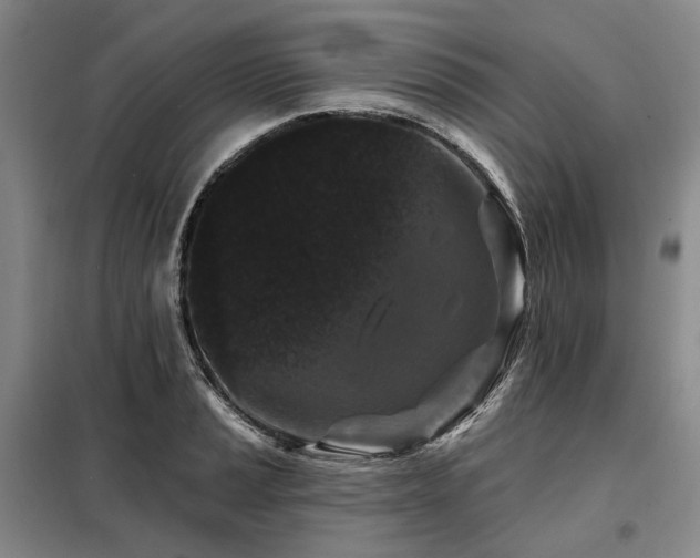 X0000098151037200804171608