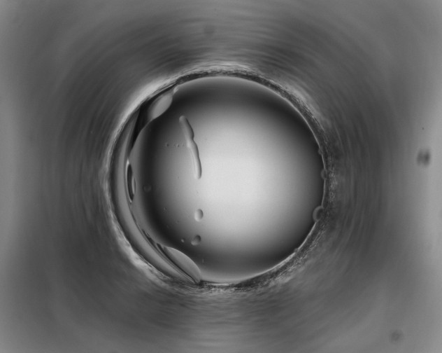 X0000098151038200804171608