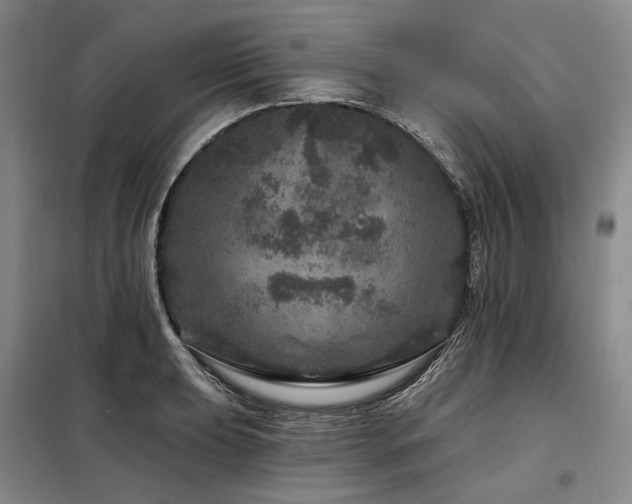 X0000098151039200804171608