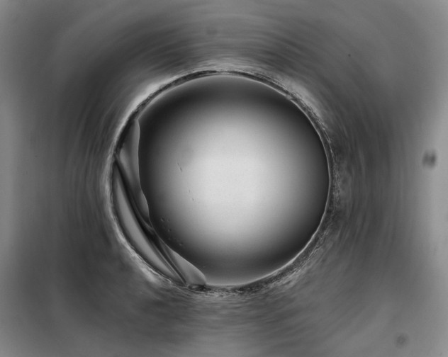 X0000098151040200804171608