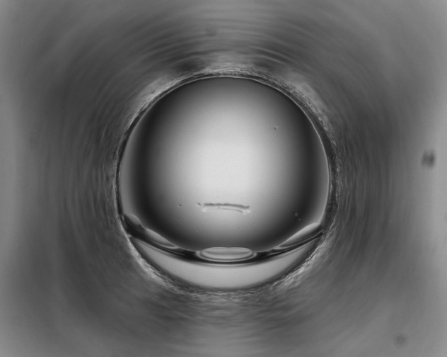 X0000098151041200804171608