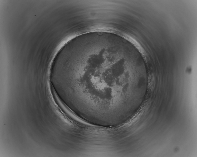 X0000098151043200804171608