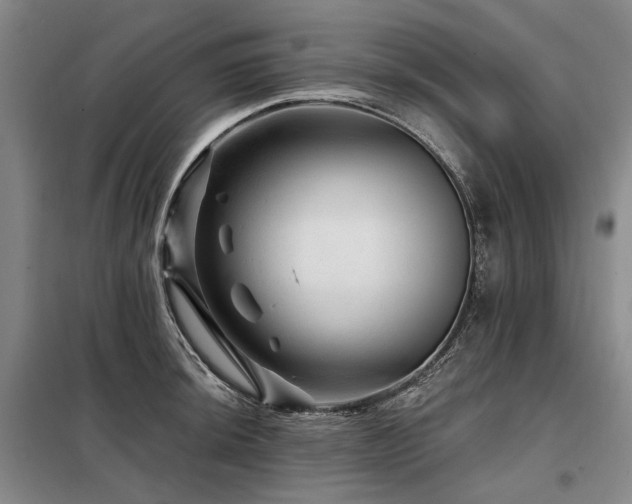 X0000098151044200804171608