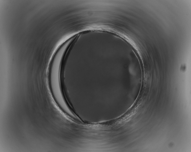 X0000098151045200804171608