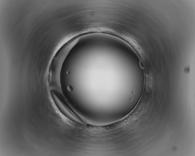 X0000098151046200804171608