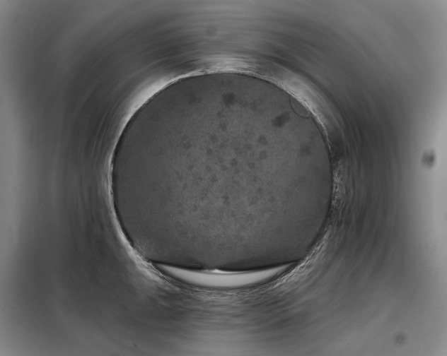 X0000098151047200804171608
