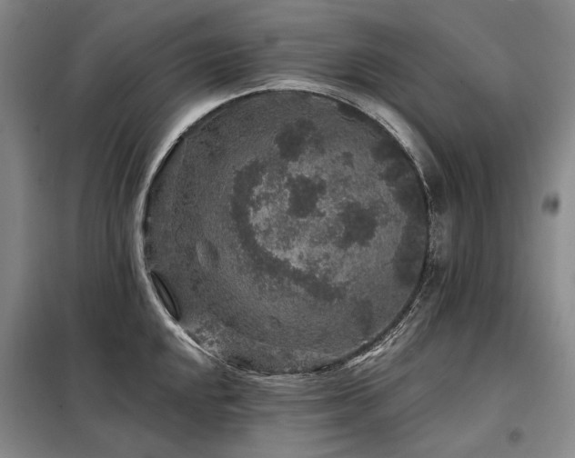 X0000098151048200804171608