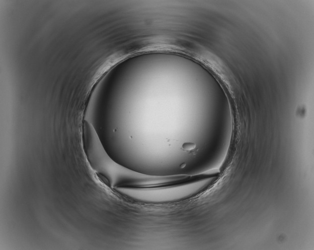 X0000098151049200804171608